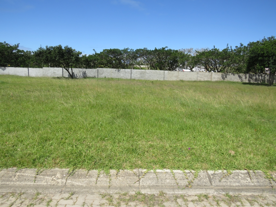 0 Bedroom Property for Sale in Boesmansriviermond Eastern Cape